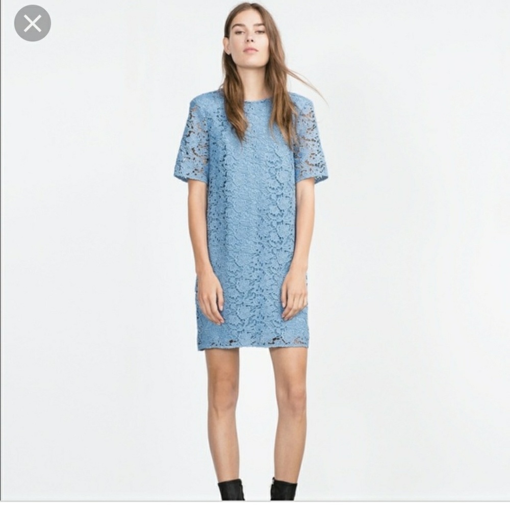 Zara blue lace shift dress